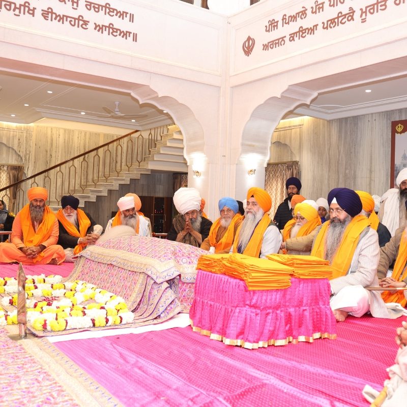 Untitled design (10)